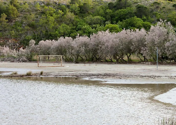 Tatil Evi Family Friendly House With A Swimming Pool Posedarje, Novigrad - 23578 *